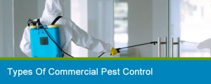 Commercial Pest Control | Pro Pest Control Melbourne